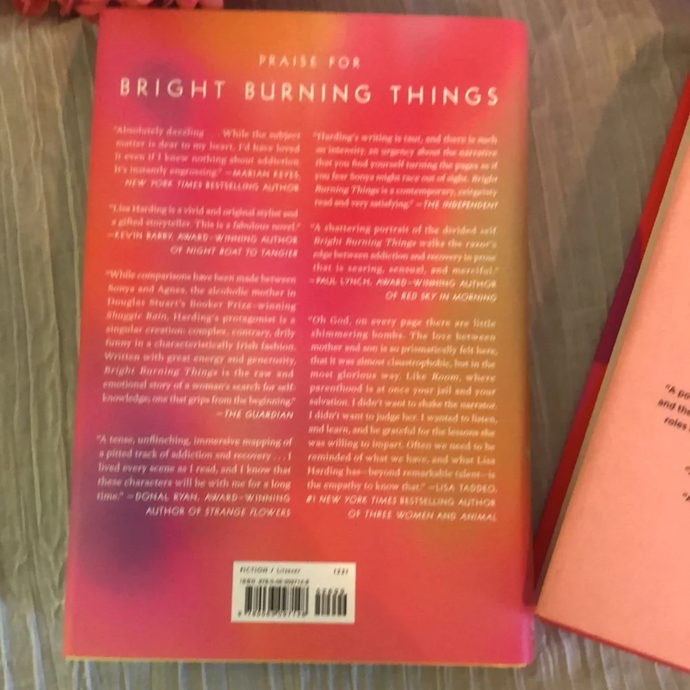BRIGHT BURNING THINGS & MRS EVERYTHING lot of 2 hardcovers novels books